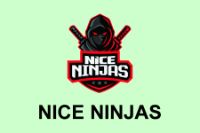 Nice Ninjas
