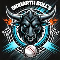 Sidharth Bulls