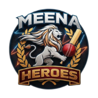 MEENA HEROES