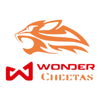 Wonder Cheetas