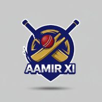 AAMIR 11