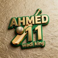 AHMED 11