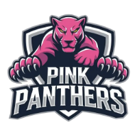 PINK PANTHERS
