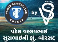 Tower Cricket Club