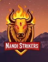 Nandi Strikers
