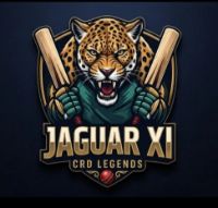 JAGUAR XI