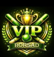 VIP BORSAD