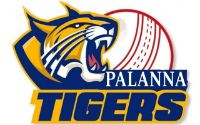 PALLANA TIGERS
