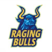 RAGING BULLS