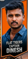 FLAT TIGERS