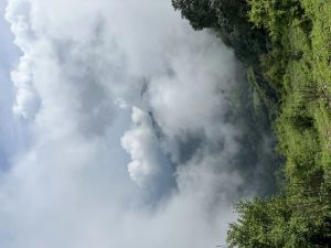 Sampoorn Tripathi
