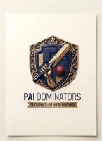 PAI DOMINATORS