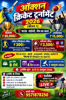 Auction of Auction Cricket Turnament - MPL