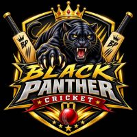 10. 🏏 Black Panther