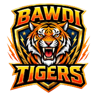 BAWDI TIGERS